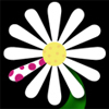petal_thumb