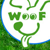 Woof Doggy Daycare